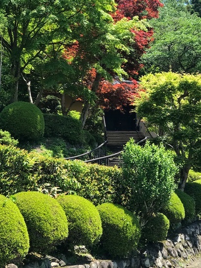 単衣の色無地に綴の八寸帯で主人の父と祖母の50回忌_f0181251_16353730.jpg