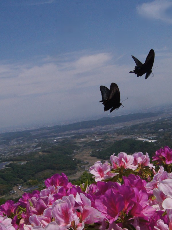 c0045352_15594086.jpg