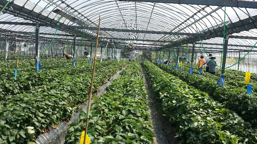 f0046854_21595725.jpg