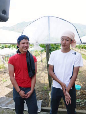 熊本ぶどう 社方園 順調に育つ様子と熊本農業大学の実習生(2019) 前編:匠の摘粒作業_a0254656_18123869.jpg