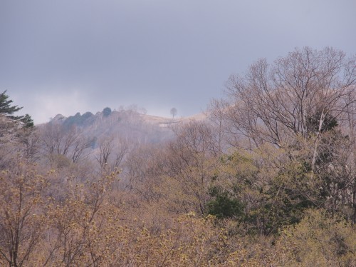 足尾の中倉山＆アカヤシオ満開の備前楯山　　2019.５.６（月）_b0335256_14341388.jpg