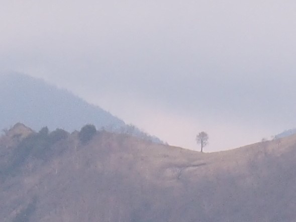 足尾の中倉山＆アカヤシオ満開の備前楯山　　2019.５.６（月）_b0335256_14345588.jpg