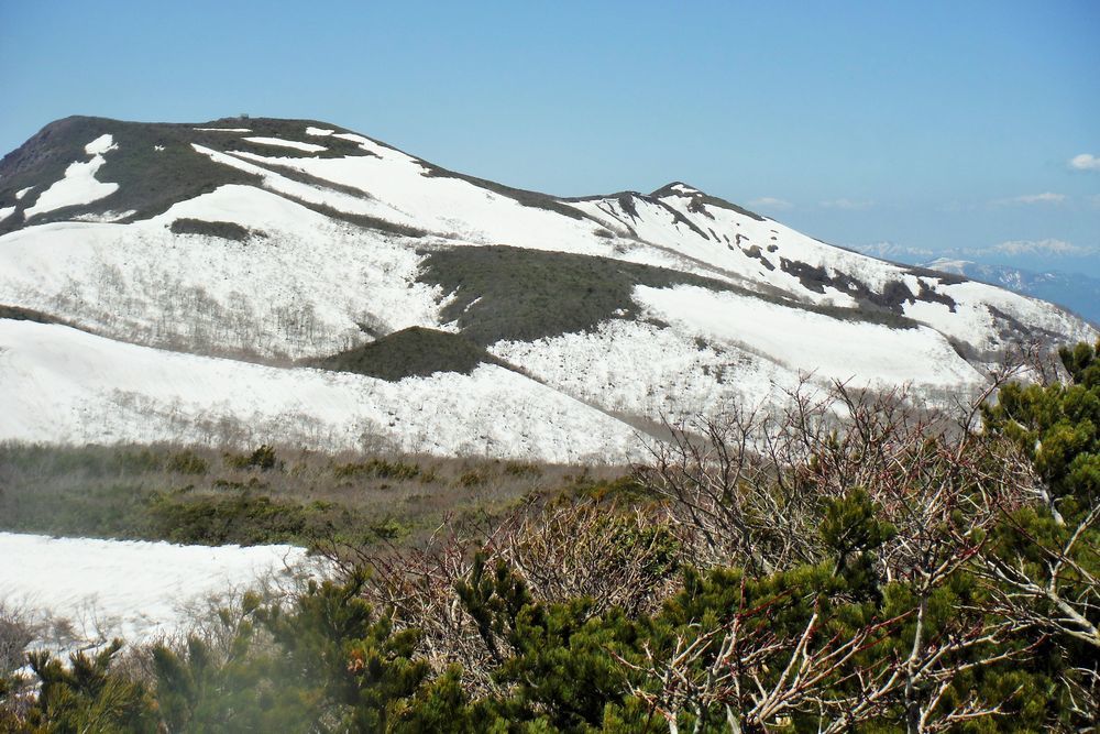 c0294658_21305427.jpg