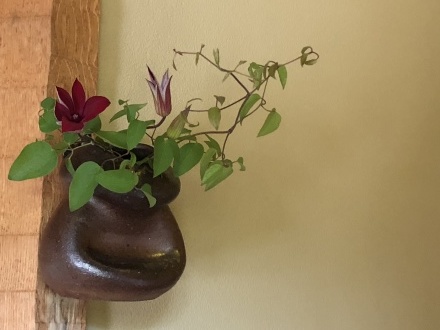 f0231568_01073815.jpeg