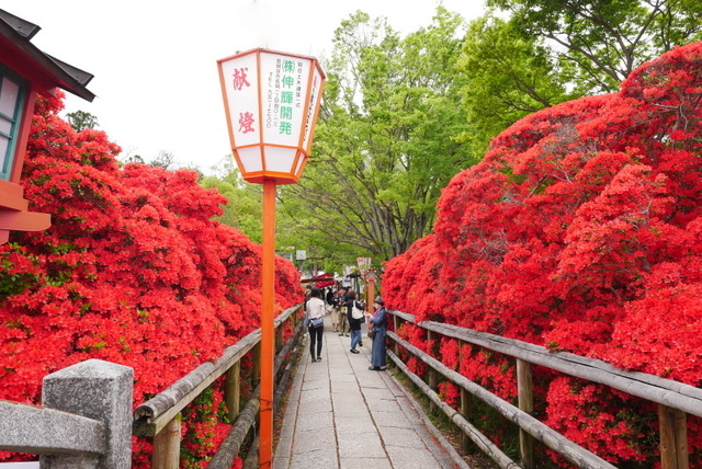 b0358575_07111360.jpg