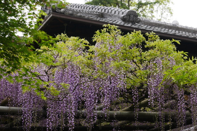 b0358575_08225376.jpg
