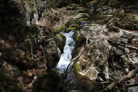 f0075075_18414462.jpg