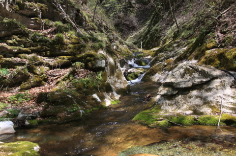 f0075075_18423916.jpg