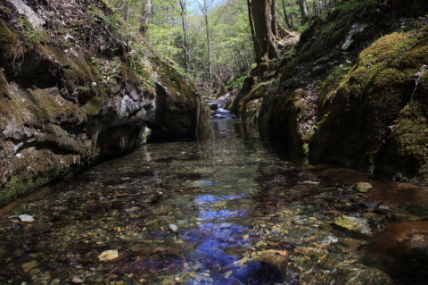 f0075075_18541631.jpg