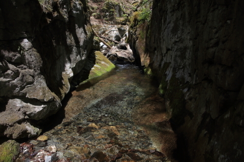 f0075075_19010135.jpg