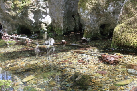 f0075075_19095617.jpg