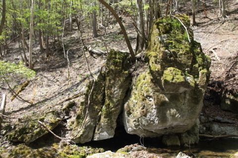f0075075_19151000.jpg