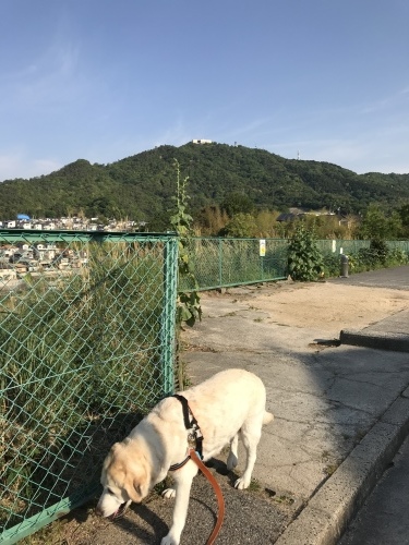 f0315081_20412370.jpeg