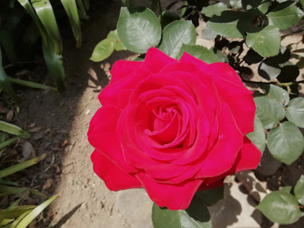 c0212083_17575612.jpg