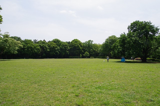 f0169884_16462611.jpg