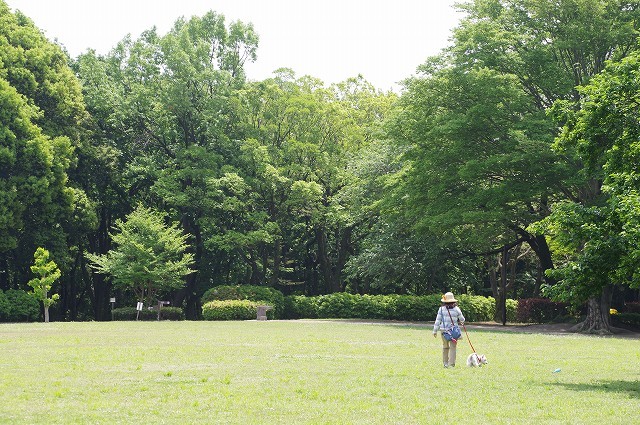 f0169884_16463589.jpg