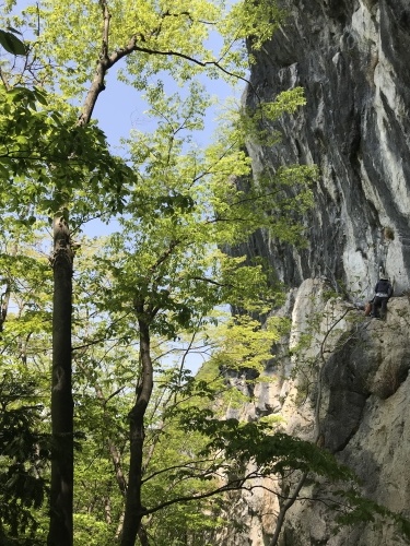 b0146794_23273234.jpeg