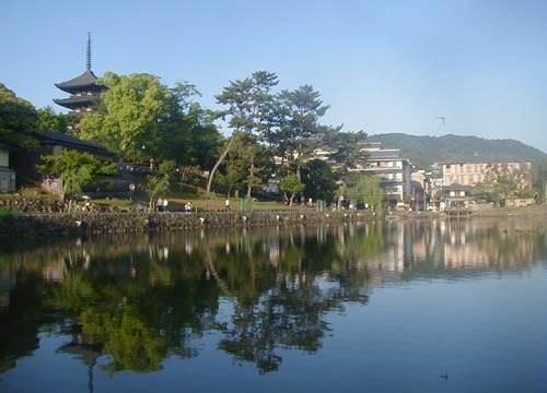●興福寺境内通り抜け、中金堂_d0053294_17512326.jpg