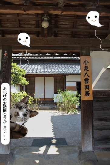 松江散策_a0333195_11162193.jpg