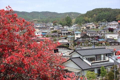 c0090198_18171534.jpg