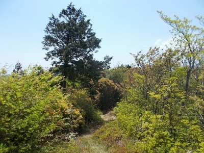 f0308898_11191004.jpg