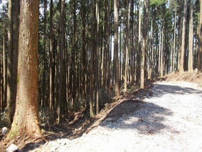 f0308898_11231405.jpg