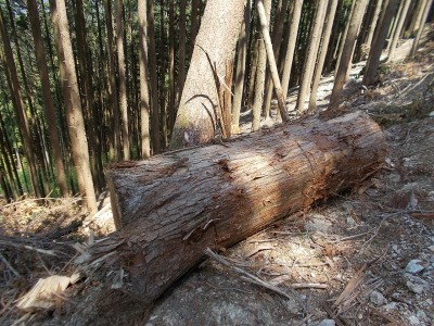 f0308898_11231606.jpg