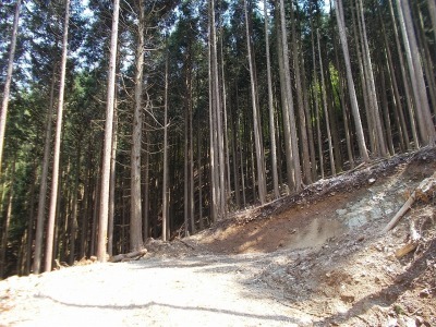 f0308898_11240963.jpg