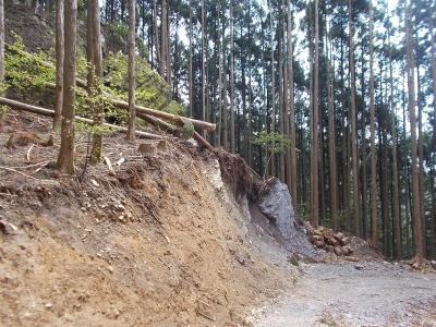 f0308898_11252777.jpg