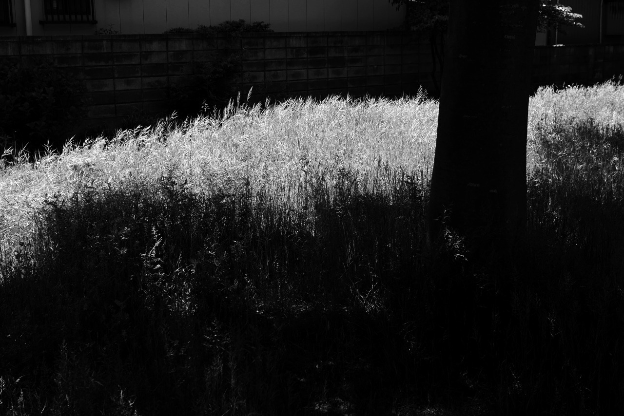 c0082800_22503617.jpg