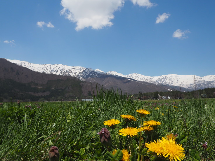 続々・塩の道まつり(オットとプチ旅☆その5)_c0212604_753594.jpg