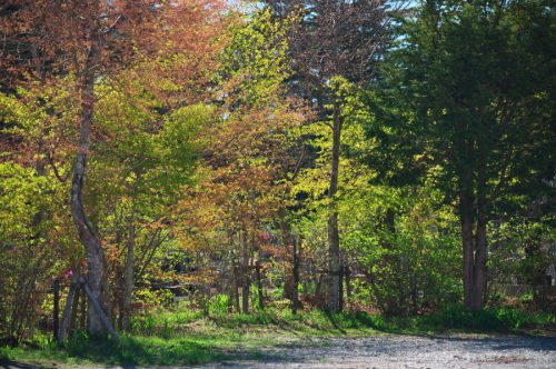 a0263109_20113170.jpg