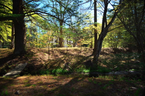 a0263109_20120209.jpg