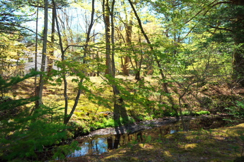 a0263109_20120266.jpg