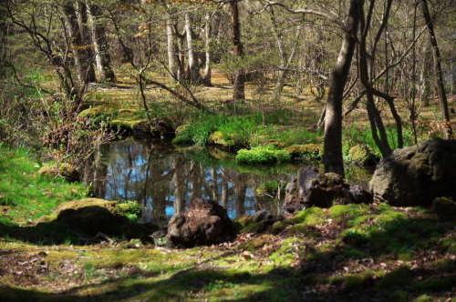 a0263109_20120321.jpg