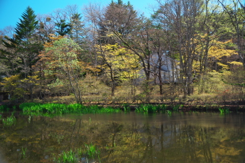 a0263109_20123319.jpg