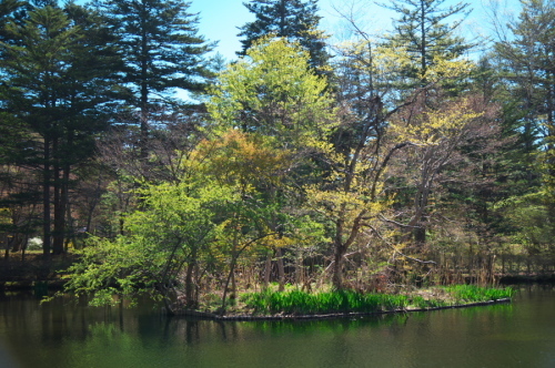 a0263109_20123350.jpg