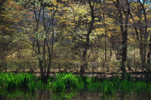 a0263109_20123435.jpg