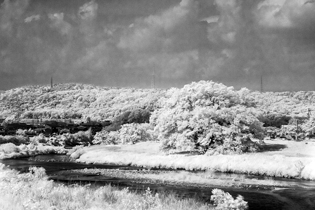d0123510_16462789.jpg