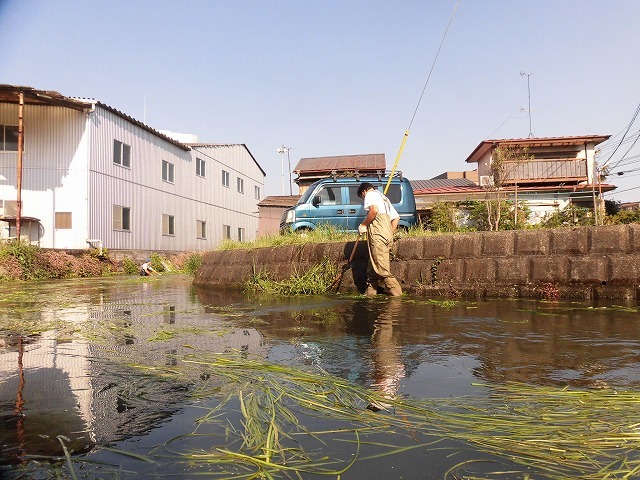 各町内の担当区間によって人数の過不足を調整する必要を感じた田宿川の川そうじ_f0141310_07494441.jpg
