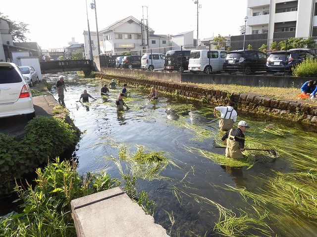 各町内の担当区間によって人数の過不足を調整する必要を感じた田宿川の川そうじ_f0141310_07500035.jpg