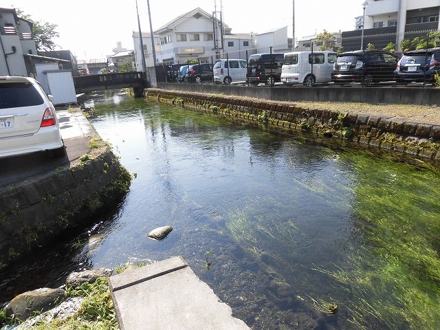 各町内の担当区間によって人数の過不足を調整する必要を感じた田宿川の川そうじ_f0141310_07500754.jpg
