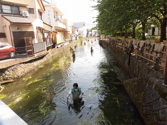 各町内の担当区間によって人数の過不足を調整する必要を感じた田宿川の川そうじ_f0141310_07502475.jpg