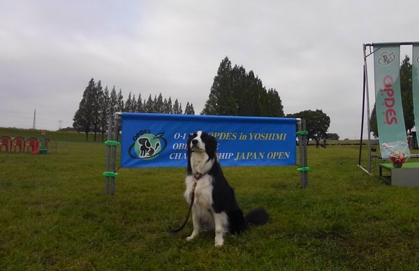 d0224111_09221766.jpg