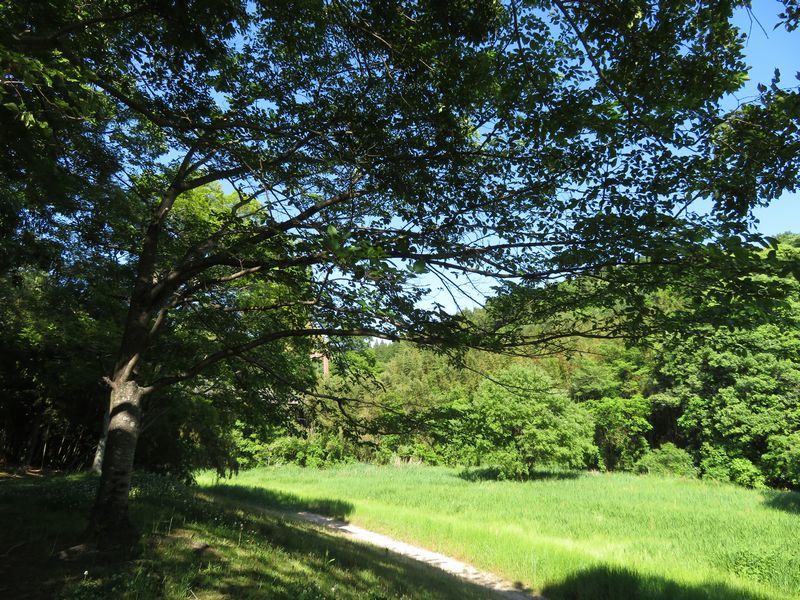 d0065113_06281766.jpg