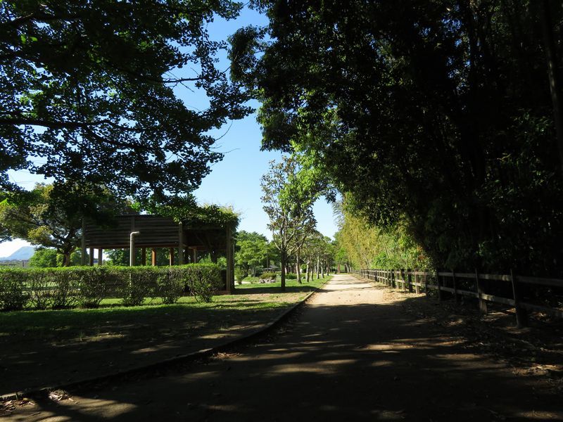 d0065113_06305148.jpg