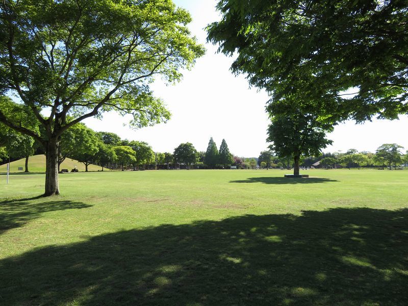 d0065113_06310091.jpg