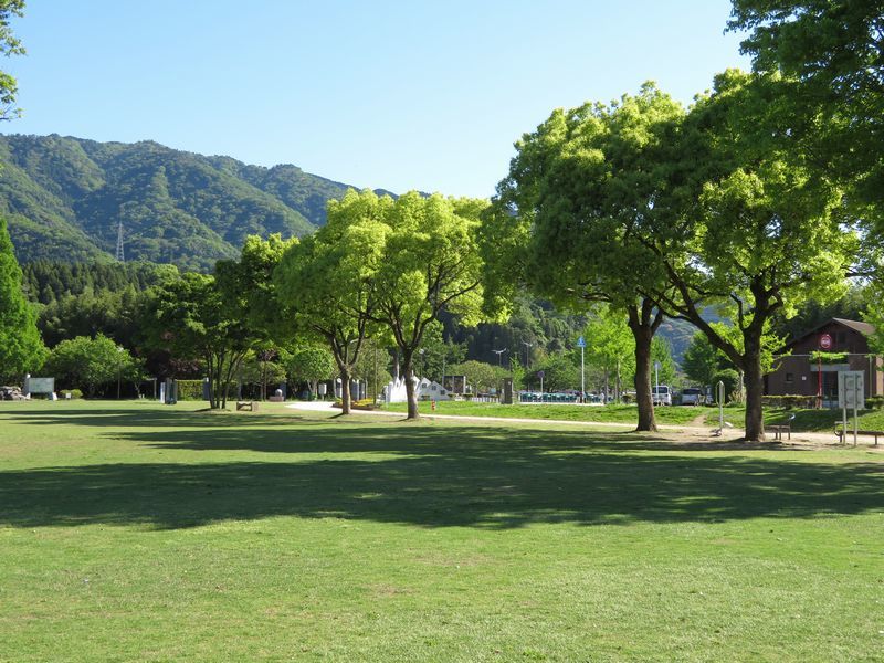 d0065113_06352980.jpg