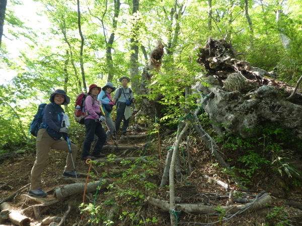 日本百名山　荒島岳 (1,523.4M)  山開き参加_d0170615_09451983.jpg