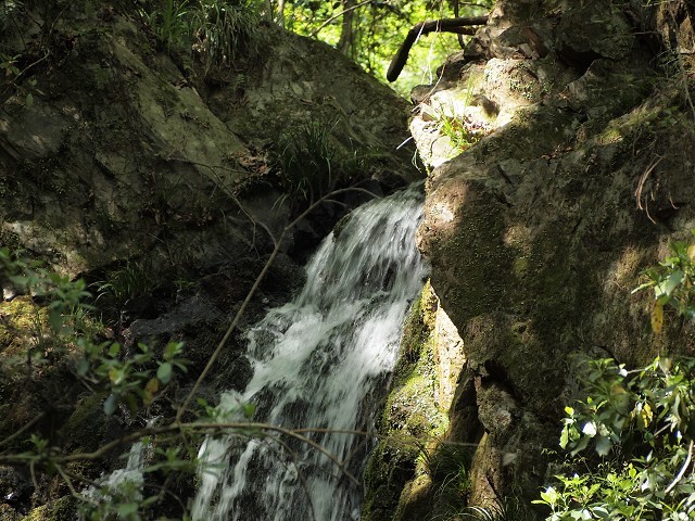 d0295818_00484502.jpg